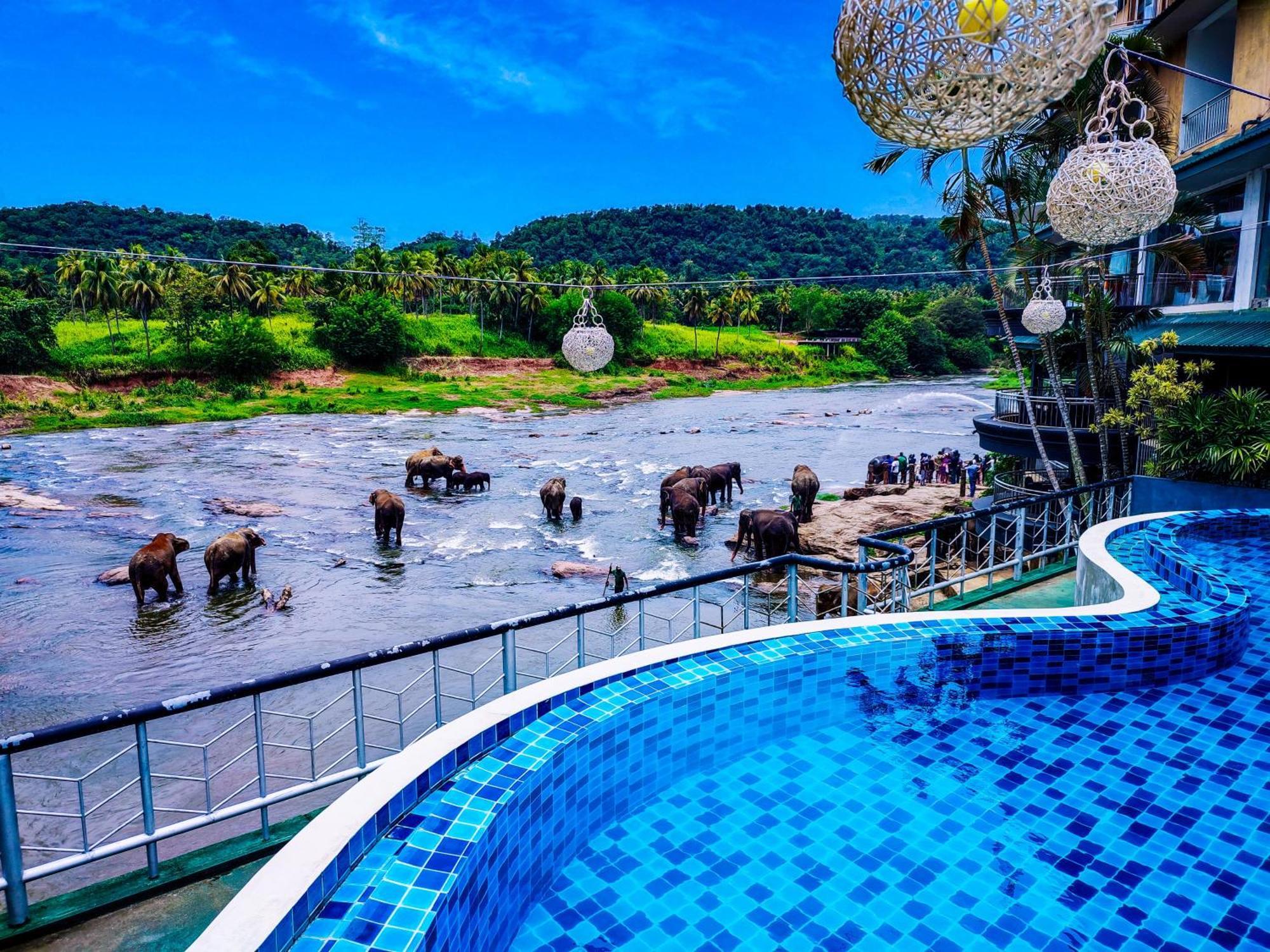 Peacock Village Pinnawala - Offer Alert! Elephant Welfare Program Dış mekan fotoğraf